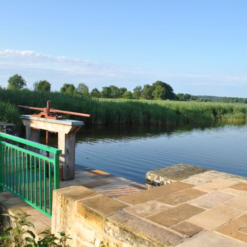Moine de l'étang du Bas - RNR des étangs de Belval-en-Argonne