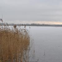 Vue de l'étang du Bas en hiver - RNR des étangs de Belval-en-Argonne